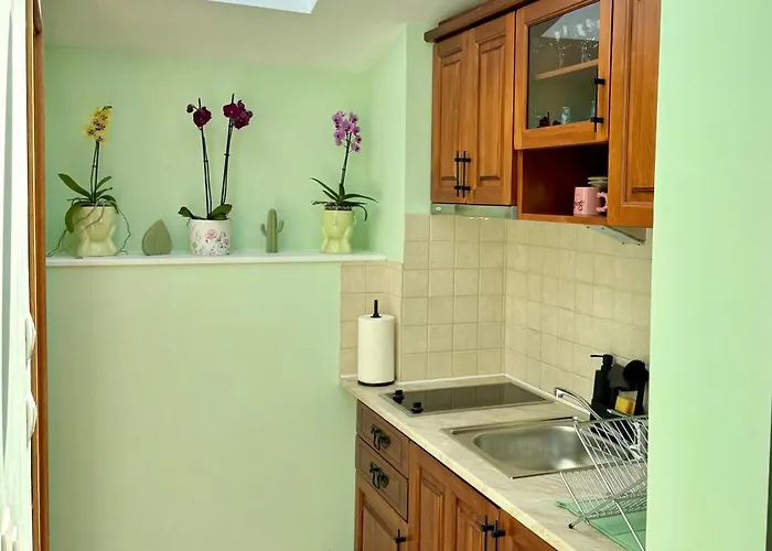 Anastasia Santa Marina *